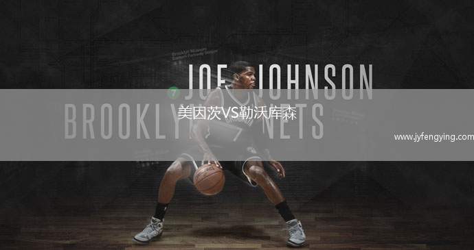 美因茨VS勒沃庫森